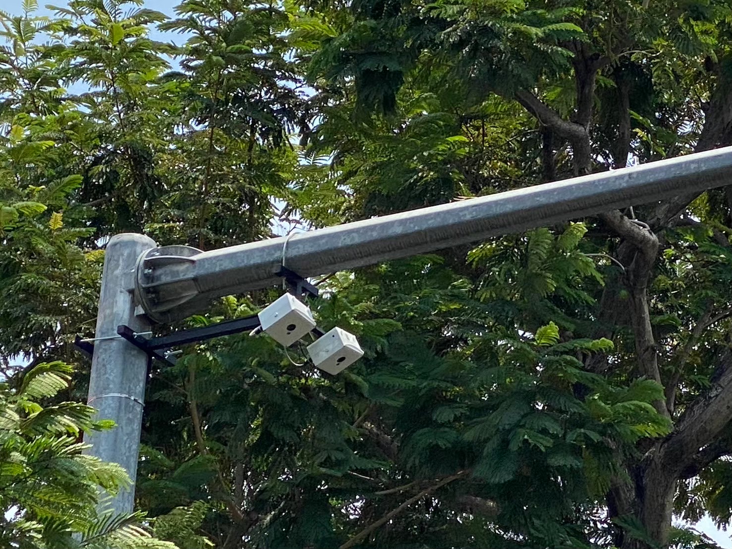 トラフィックカウントセンサーをホーチミン市内に試験設置しました。